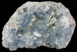 Sky Blue Celestine (Celestite) Crystal Cluster - Madagascar #75940-1